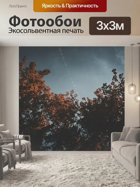 Фотообои Небо