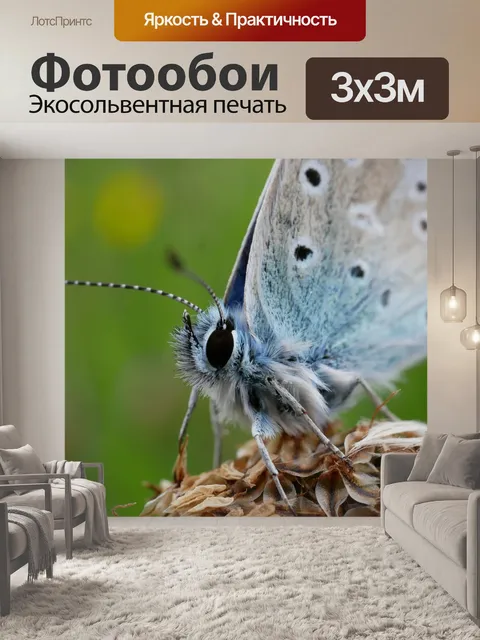 Фотообои Синий
