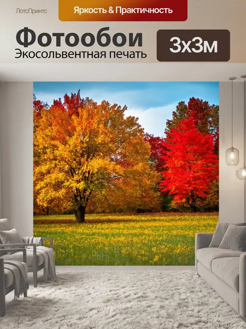 Фотообои поле под осенним небом, окруженное деревьями с яркой листвой, в ярких оттенках красного и золота