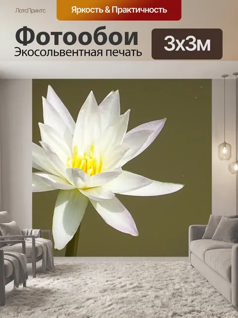 Фотообои Лили