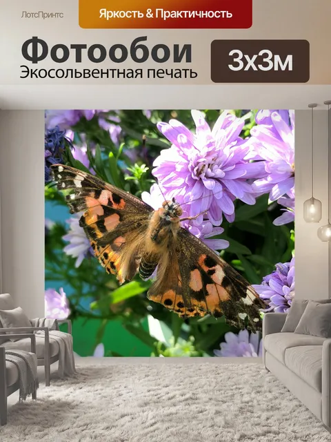 Фотообои Бабочка монарх