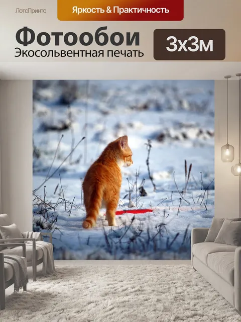Фотообои Кот