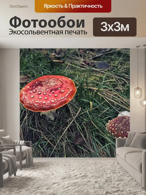 Фотообои Грибок