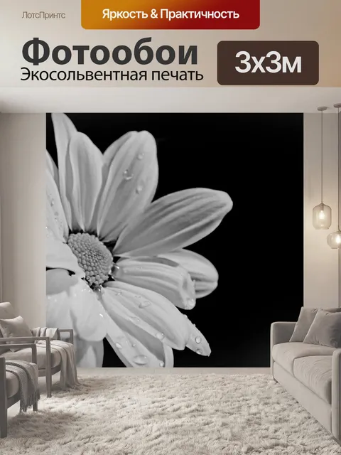 Фотообои Белый цветок на черном фоне