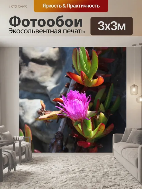 Фотообои Писмо-бич