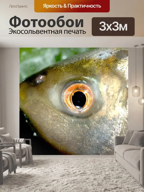 Фотообои Пресноводная рыба фото