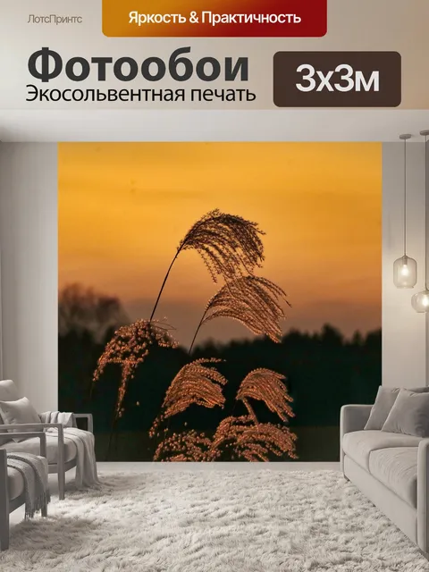 Фотообои Настроение