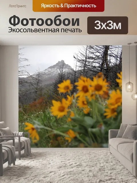 Фотообои Дикие горные цветы
