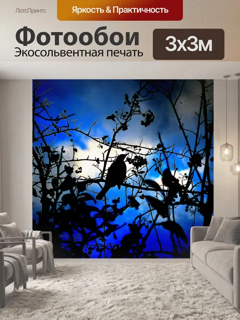 Фотообои силуэт птицы световые эффекты