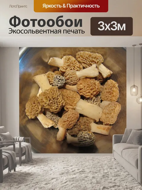 Фотообои Чаша содержащий Morel грибы.