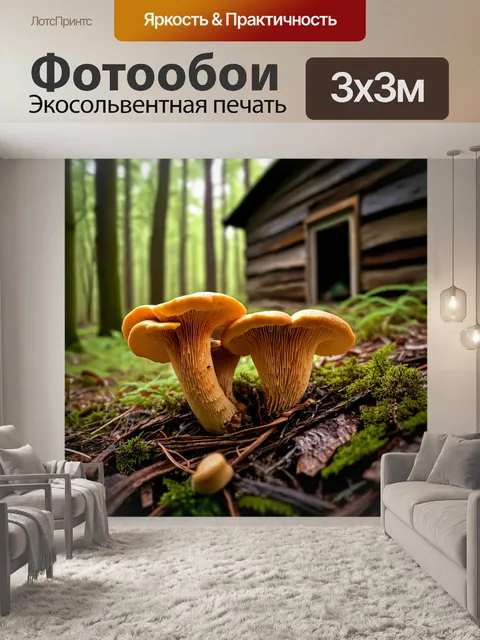 Фотообои грибы лисички, освещенные мягким светом на фоне заброшенной хижины в лесу, создающей атмосферу уюта и тайны