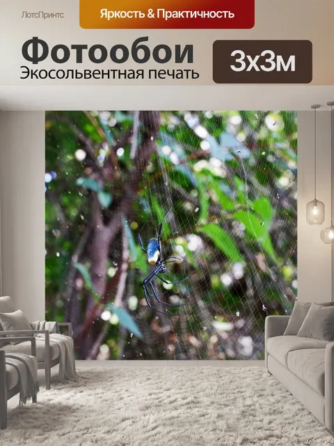 Фотообои золотой шар ткач паук