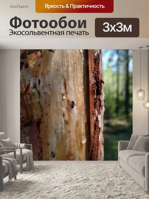 Фотообои Макросъёмка