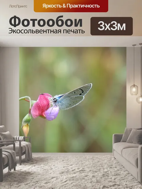 Фотообои Голубая бабочка