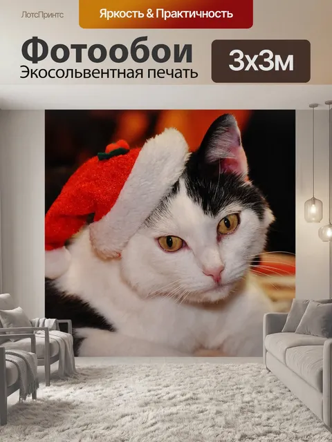 Фотообои Кот