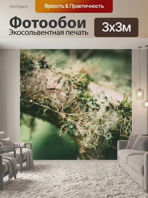 Фотообои Зеленый мох