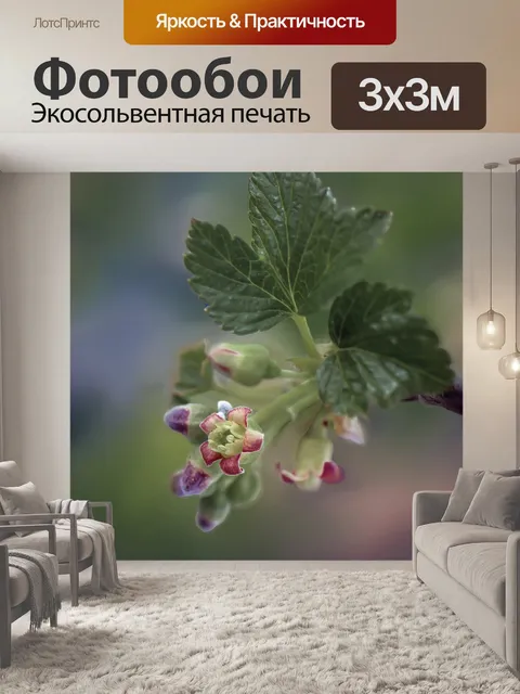 Фотообои Цветок