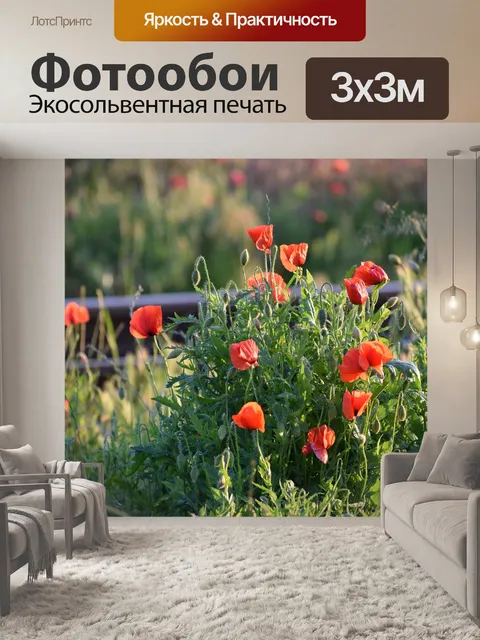 Фотообои Красный букет маков