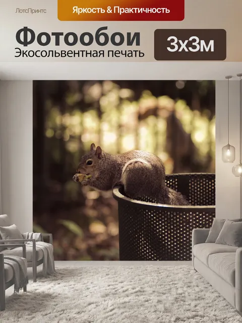 Фотообои Белка