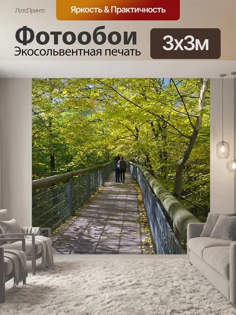 Фотообои Осенний лес