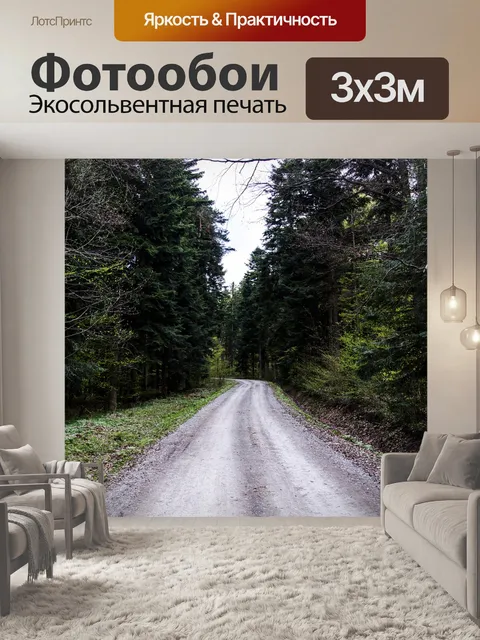 Фотообои Дорога