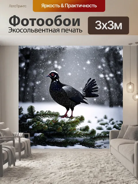 Фотообои тетерев стоит на вершине заснеженной сосны, его черные перья сверкают под солнечными лучами