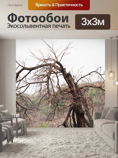 Фотообои сломанное дерево с сухой арочной веткой