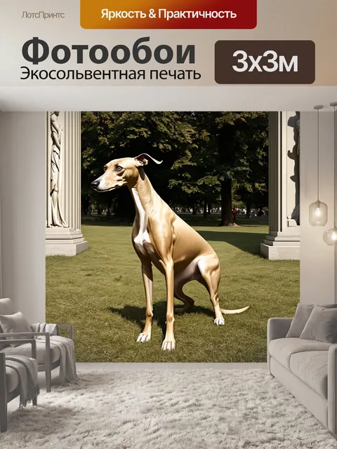 Фотообои изображение борзой в старом парке, где её легкость ловко контрастирует с массивными рельефами скульптур