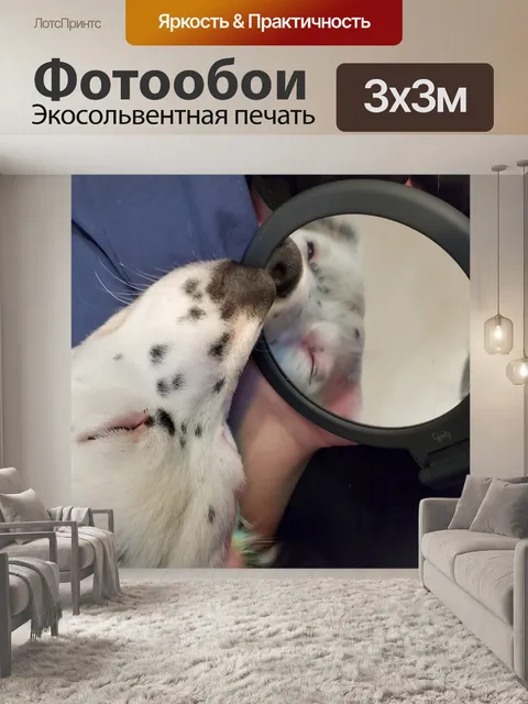 Фотообои Две стороны каждой истории