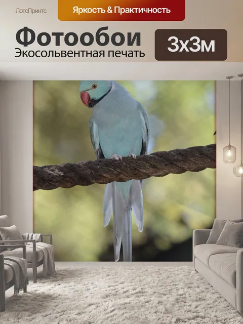Фотообои Blue Parrot карлик