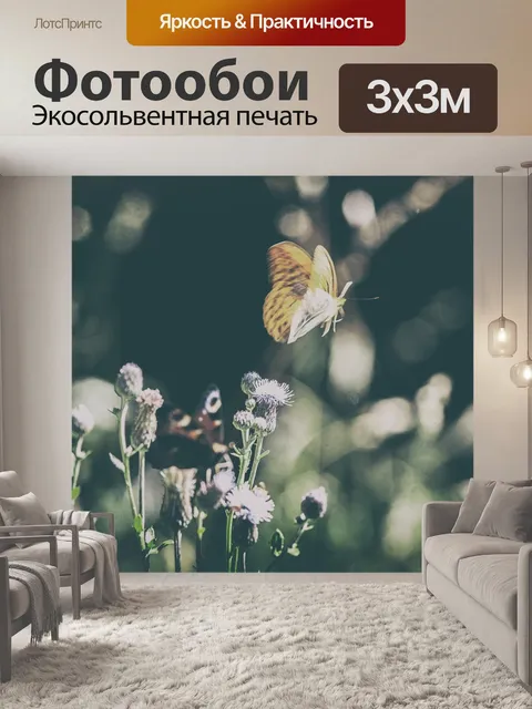 Фотообои Бабочка