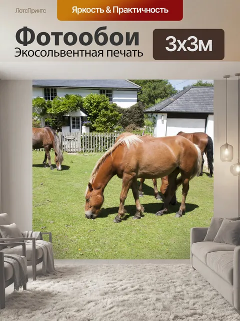 Фотообои Лошади на селе Грин