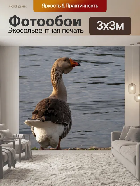 Фотообои Гусь