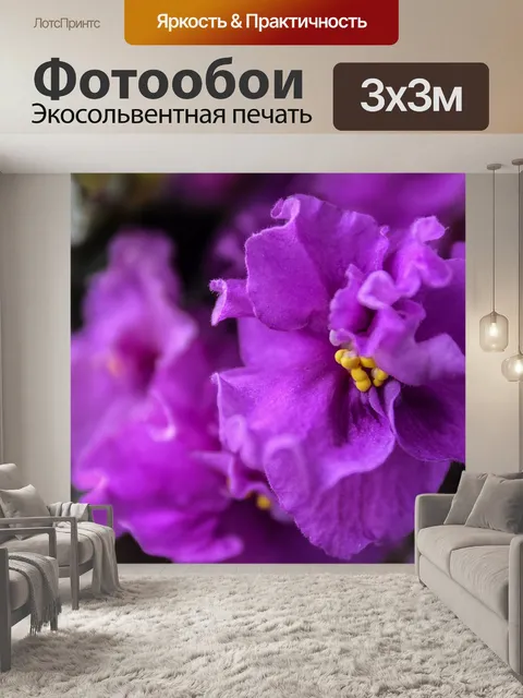 Фотообои Комнатный цветок