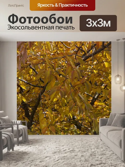 Фотообои Падение