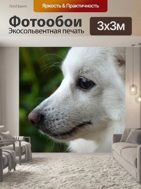 Фотообои Щенок