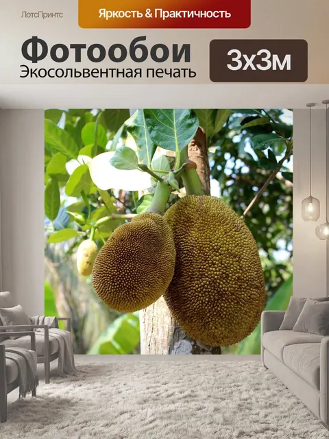 Фотообои Хлеб фруктовое дерево