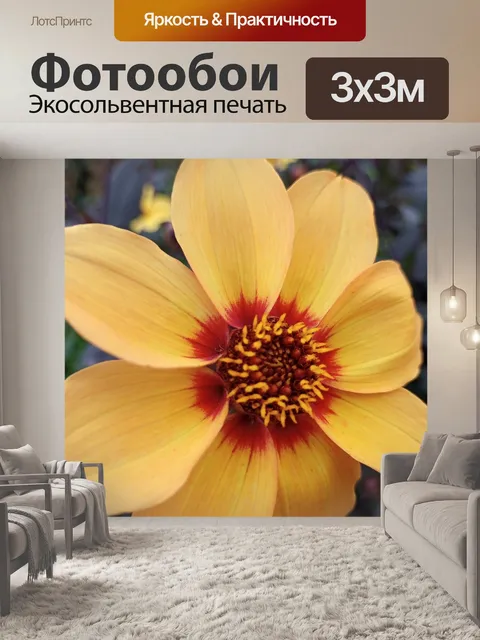 Фотообои желтый цветок оранжевое свечение
