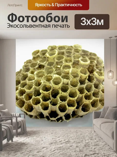 Фотообои Пчелиный улей мед