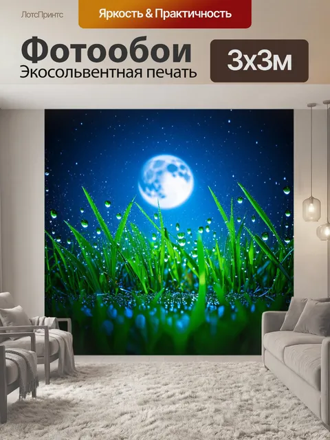 Фотообои вечерняя роса на траве, освещенная луной и звездным небом