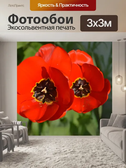 Фотообои Мака