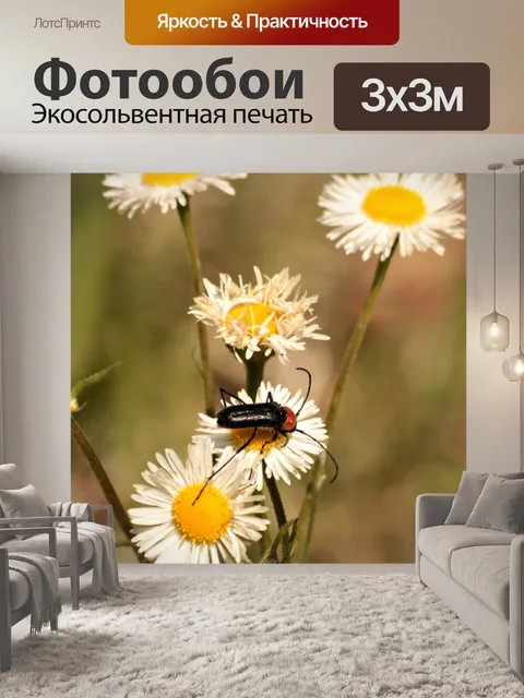 Фотообои Длиннорогий жук на полевом цветке