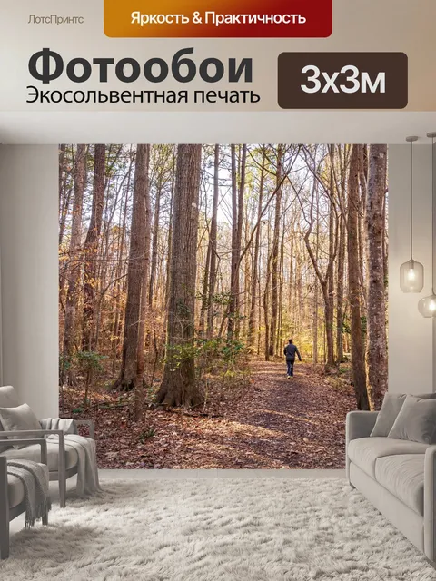 Фотообои Утренний поход