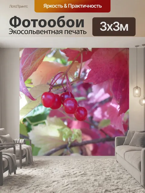 Фотообои Калина