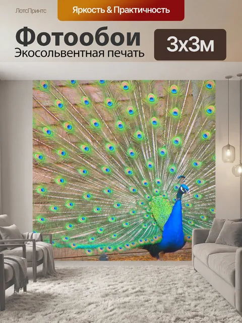 Фотообои Павлин распространения хвостом 4