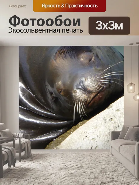 Фотообои Закрыть милый уплотнительной поверхности