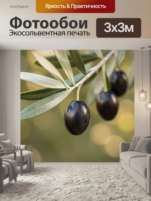 Фотообои Черные оливки на ветке