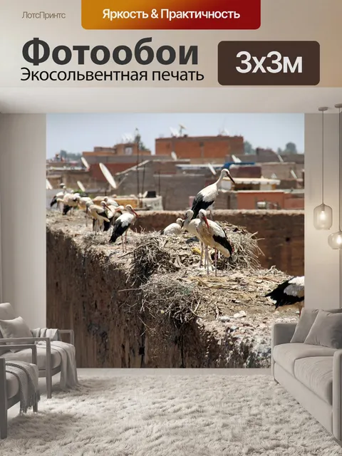 Фотообои Птицы