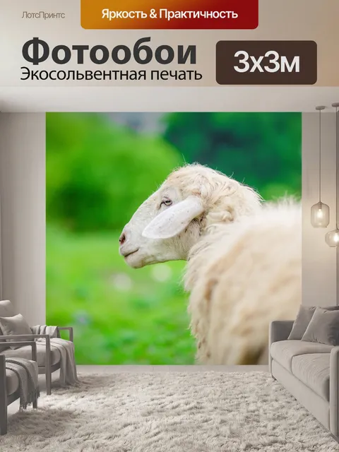 Фотообои Овцы