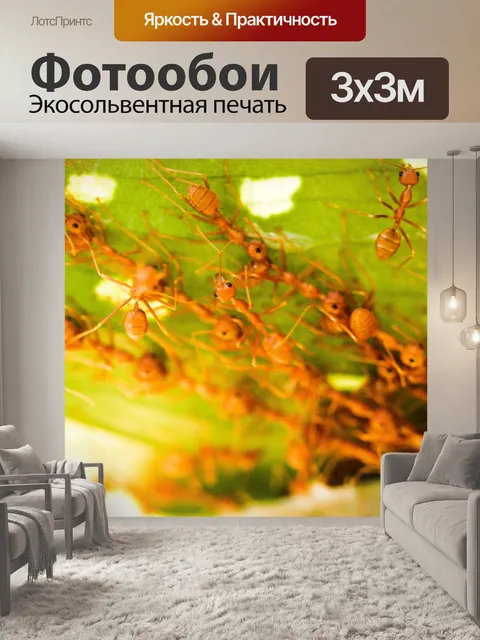 Фотообои Красные муравьи